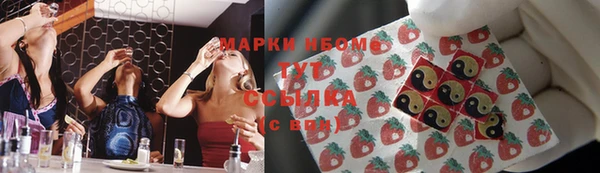 прущие грибы Ладушкин