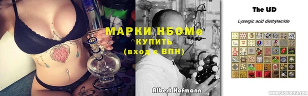 прущие грибы Ладушкин