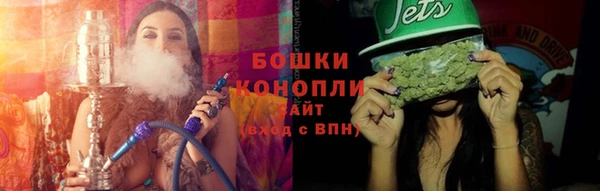 прущие грибы Ладушкин