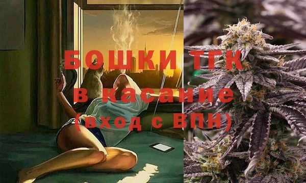 прущие грибы Ладушкин
