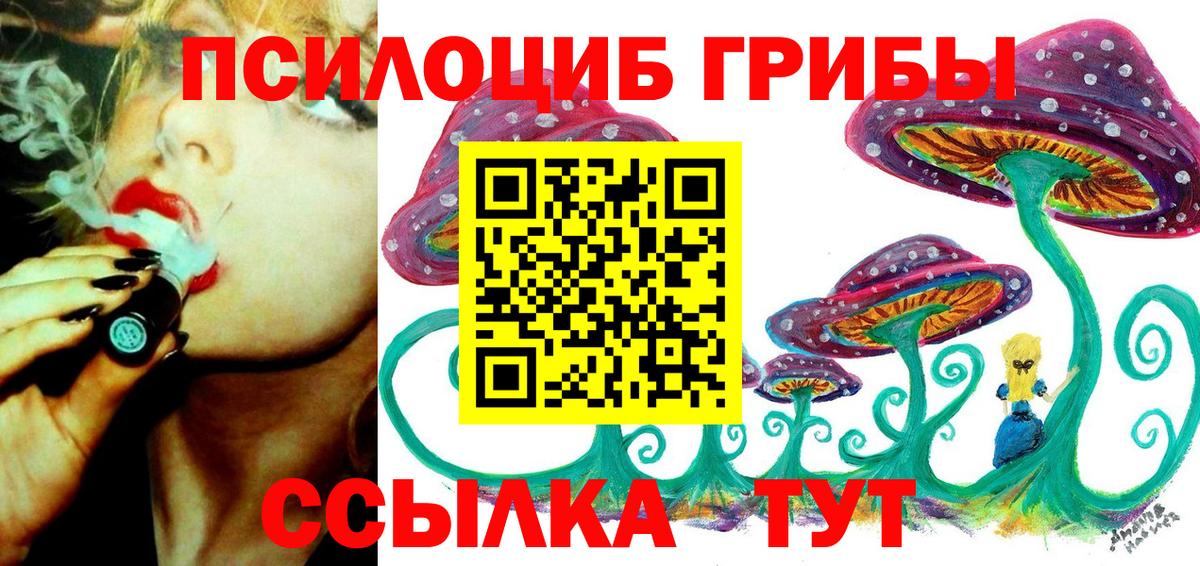 купить наркотик  Псилоцибиновые грибы Psilocybe  Вход с VPN  Кумертау 