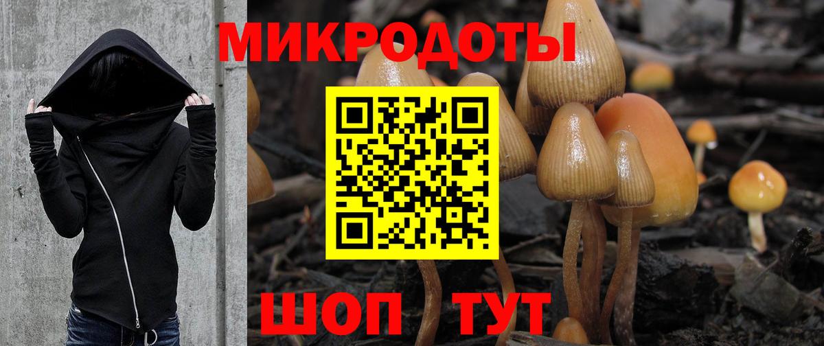 Псилоцибиновые грибы прущие грибы Кумертау